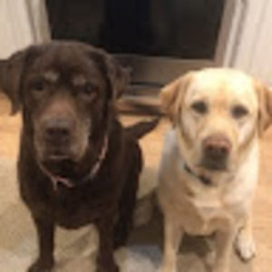 Meet your Posher, Drea